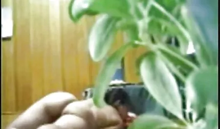 美しいラティーナ 無料 セックス 動画 女性 向け